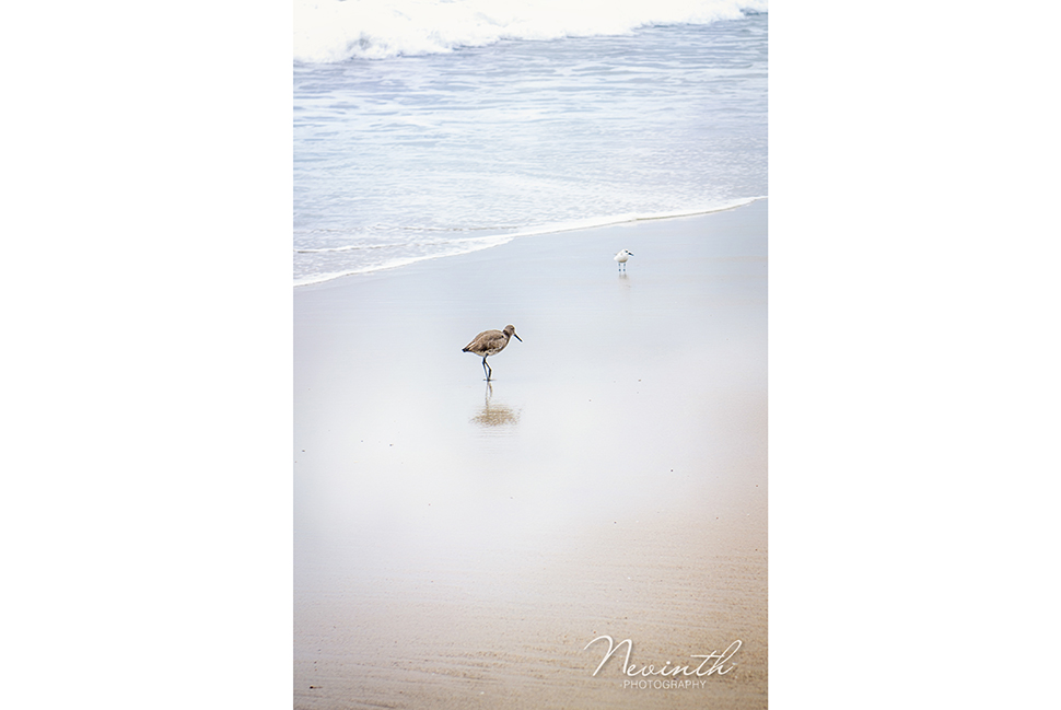 Kärleksfotografering i Santa Monica, USA